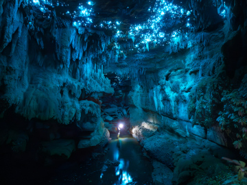 Glow Worm Cave Photography Tour